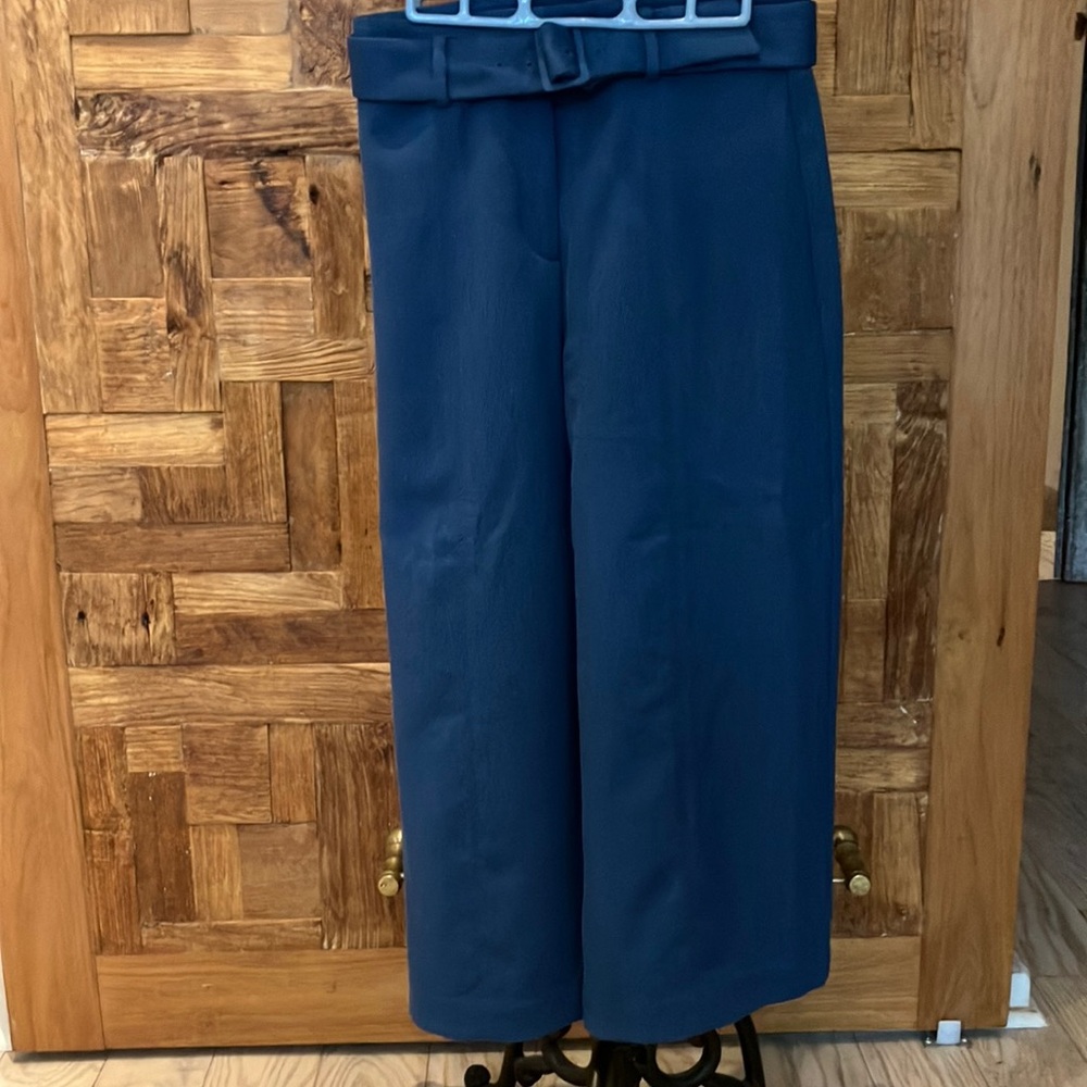 Ann Taylor Blue Cropped Pants